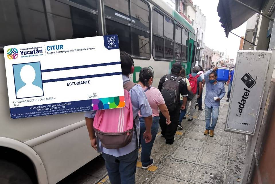 Seguirán en vigencia las  credenciales de transporte