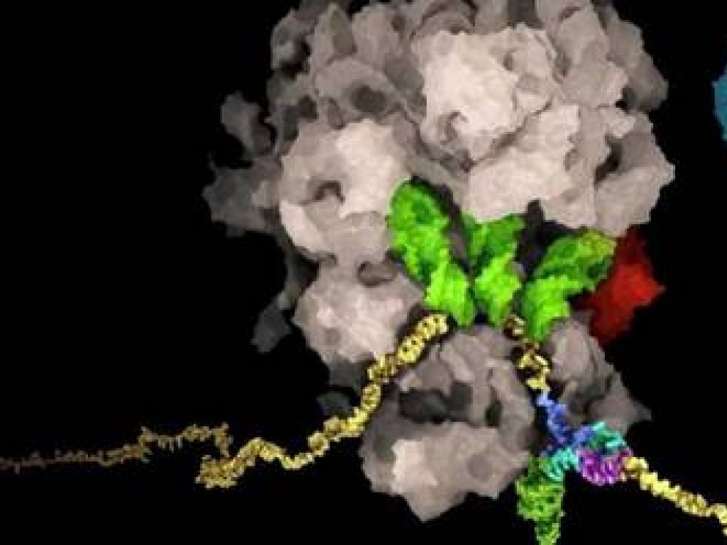 Encuentran el talón de Aquiles del coronavirus