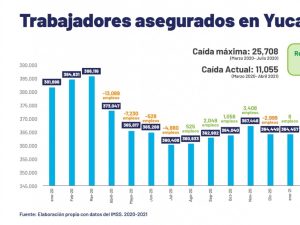 Se han recuperado más de 14,000 en Yucatán en los últimos 10 meses