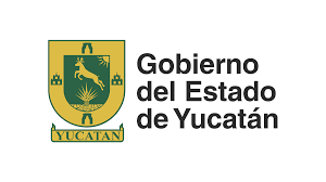 Apicultores de Yucatán continúan recibiendo abejas reina para incrementar su producción y sus ingresos