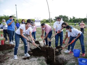 El Ayuntamiento meridano, el Gobierno de Yucatán y el  Club Rotarios Mérida realizan la arborización “Duelo Verde Rotario”