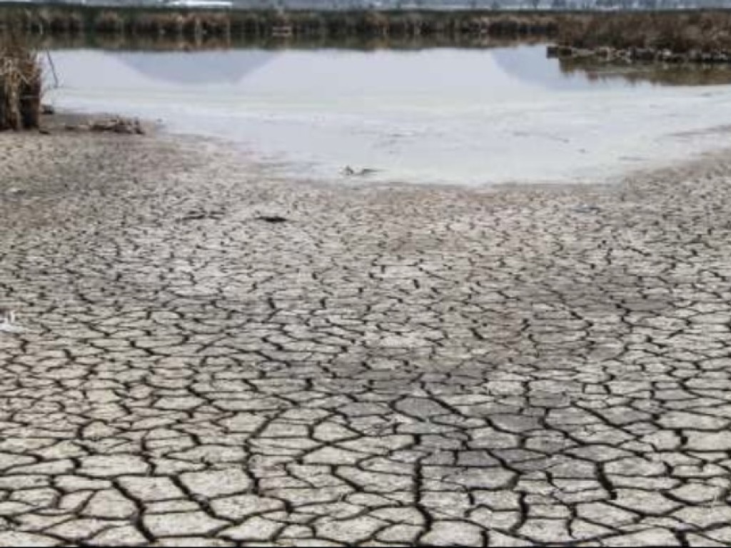 México iniciará 2022 con fuertes sequías, dice una  experta de la UNAM