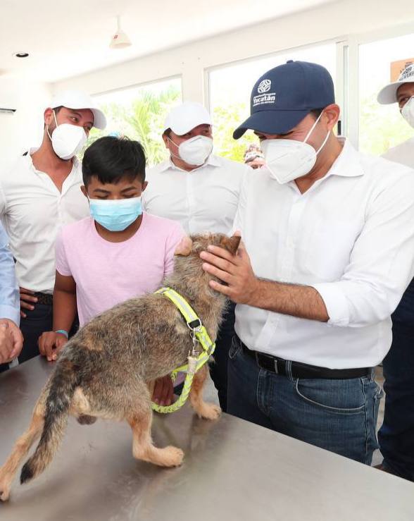 Yucatán da un paso adelante en la persecución e investigación de actos ilícitos en contra de los animales domésticos