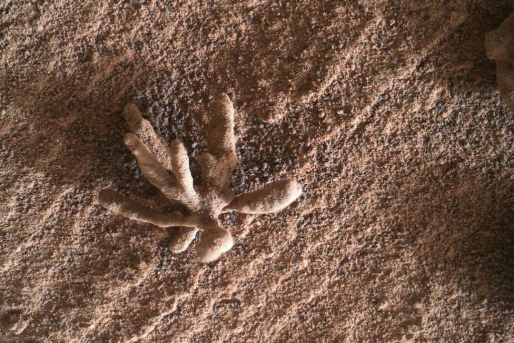 Curiosity capta una “flor” de cristales en la superficie de Marte