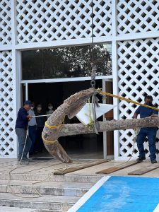 Recuperan enorme ancla en el puerto de Progreso