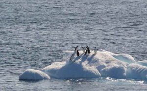 La Antártida registra un récord de descenso histórico de hielo marino