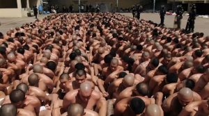 “Paren de matar o ellos lo van a pagar”: exhibe Bukele a pandilleros detenidos semidesnudos