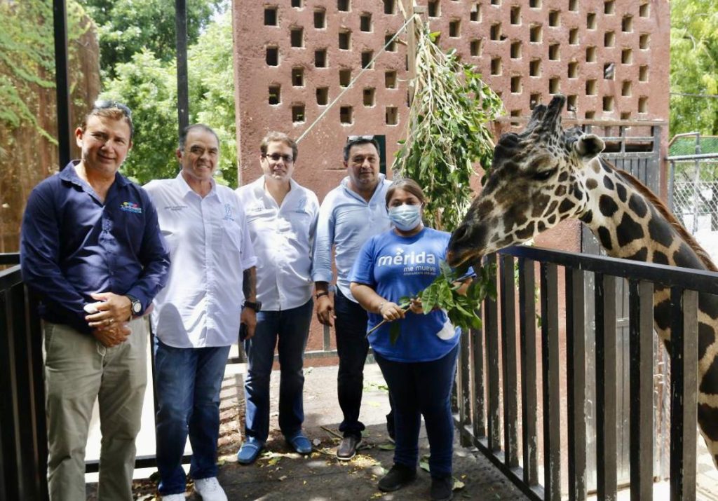 Los Zoológicos el Centenario y Animaya, referente nacional en el rescate y rehabilitación de animales ilegales