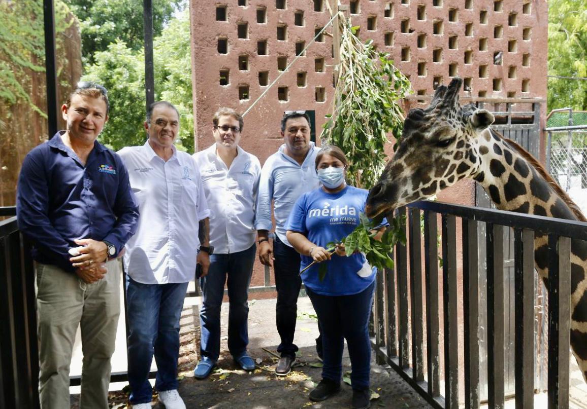 Los Zoológicos el Centenario y Animaya, referente nacional en el rescate y rehabilitación de animales ilegales