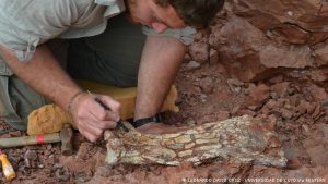 Encuentran fósiles del “Dragón de la muerte”, el mayor reptil volador de Sudamérica