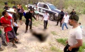  Indignación por la muerte en Coahuila de un osezno al que le ataron una soga al cuello 