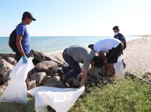 Miles de voluntarios sumaron esfuerzos para realizar la limpieza simultánea de 14 playas en Yucatán   