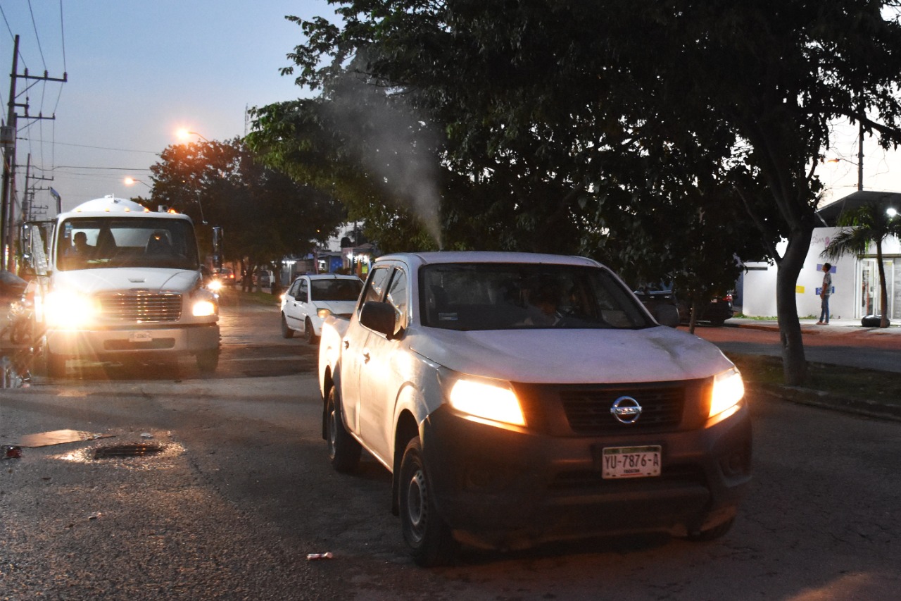 Sigue el trabajo en conjunto de la SSY y el  Ayuntamiento de Mérida para combatir la invasión del mosco negro