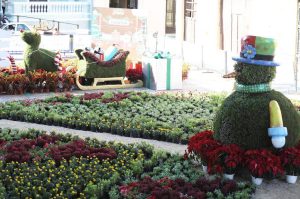 Inicia la exhibición “Paseo Navideño de las Flores” en parque de La Mejorada de Mérida