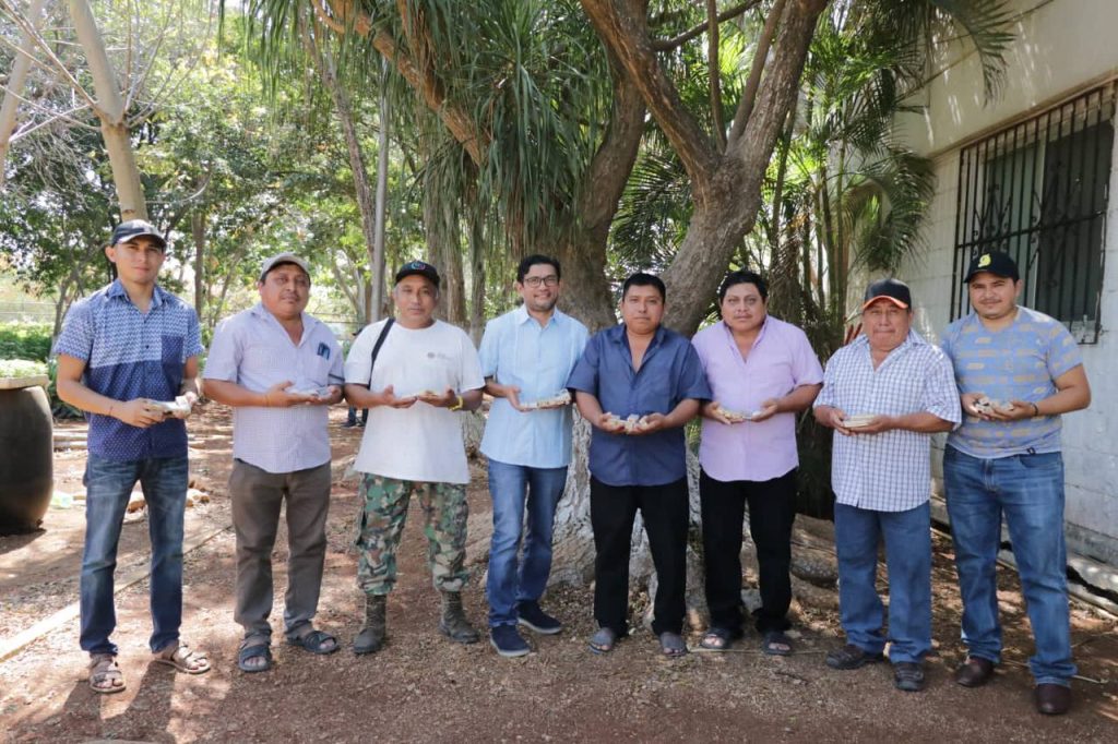 Apicultores de Yucatán fortalecen su labor con apoyo del Gobernador Mauricio Vila Dosal