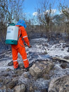 Con 190 reportes de incidentes inició temporada de incendios en Yucatán: Procivy