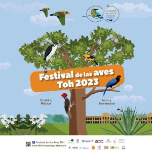 Más de 50 actividades en la 22° edición del Festival de las Aves Toh