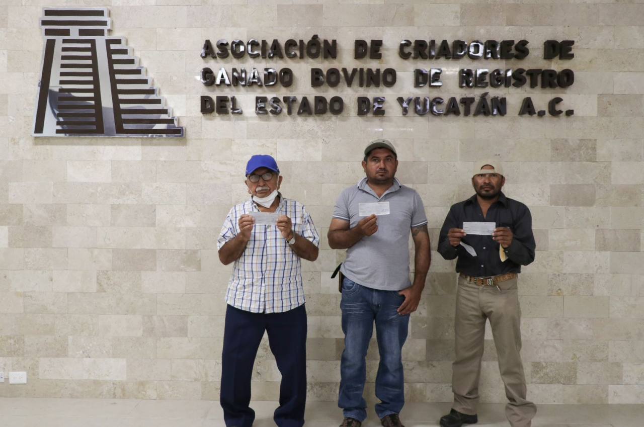 Continúa impulsando el Gobernador Mauricio Vila Dosal producción ganadera en el estado