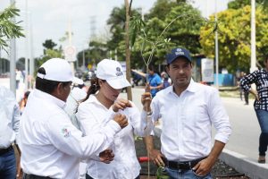 Inicia el Gobernador Mauricio Vila Dosal la arborización como parte del proyecto del Ie-Tram