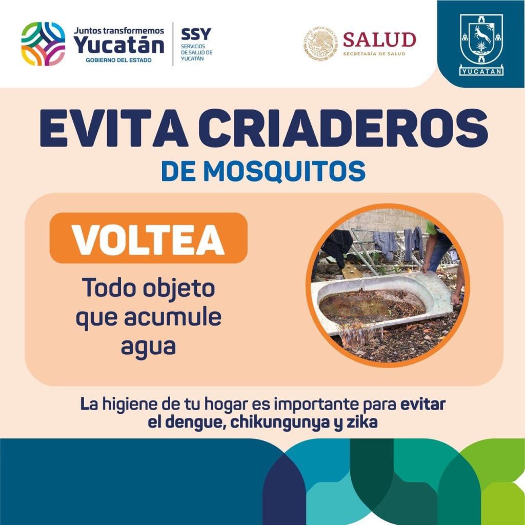 Vila impulsa acciones para seguir con el combate de los moscos y del dengue