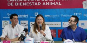 Anuncia registro de mascotas con microchip y tarjeta de descuentos para adoptantes en Mérida