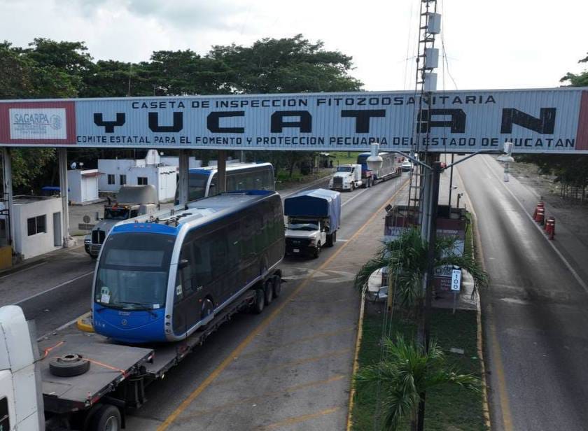 Llegan otras 5 nuevas unidades del Ie-Tram a Yucatán