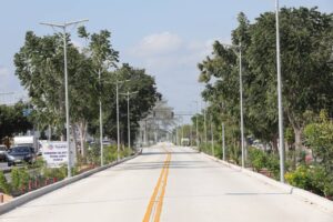 Continúan las acciones de arborización para impulsar un Yucatán más verde y sustentable