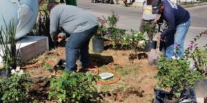 Crece la reforestación en Progreso, gracias al “Ayuntamiento en Acción”