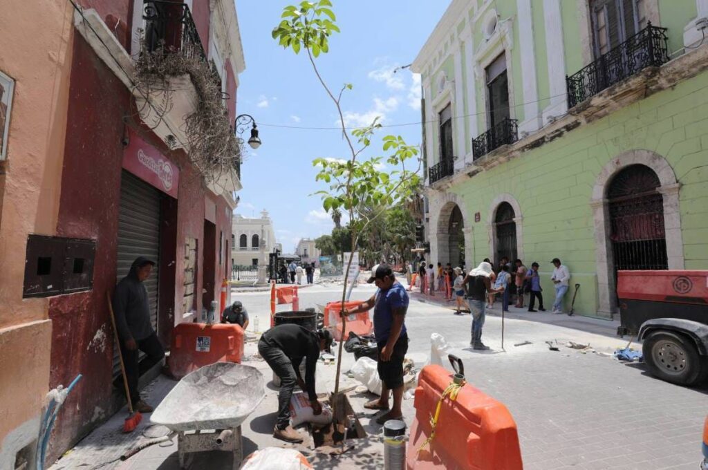 Avanza la plantación de árboles en el Corredor Turístico y Gastronómico en el Centro Histórico