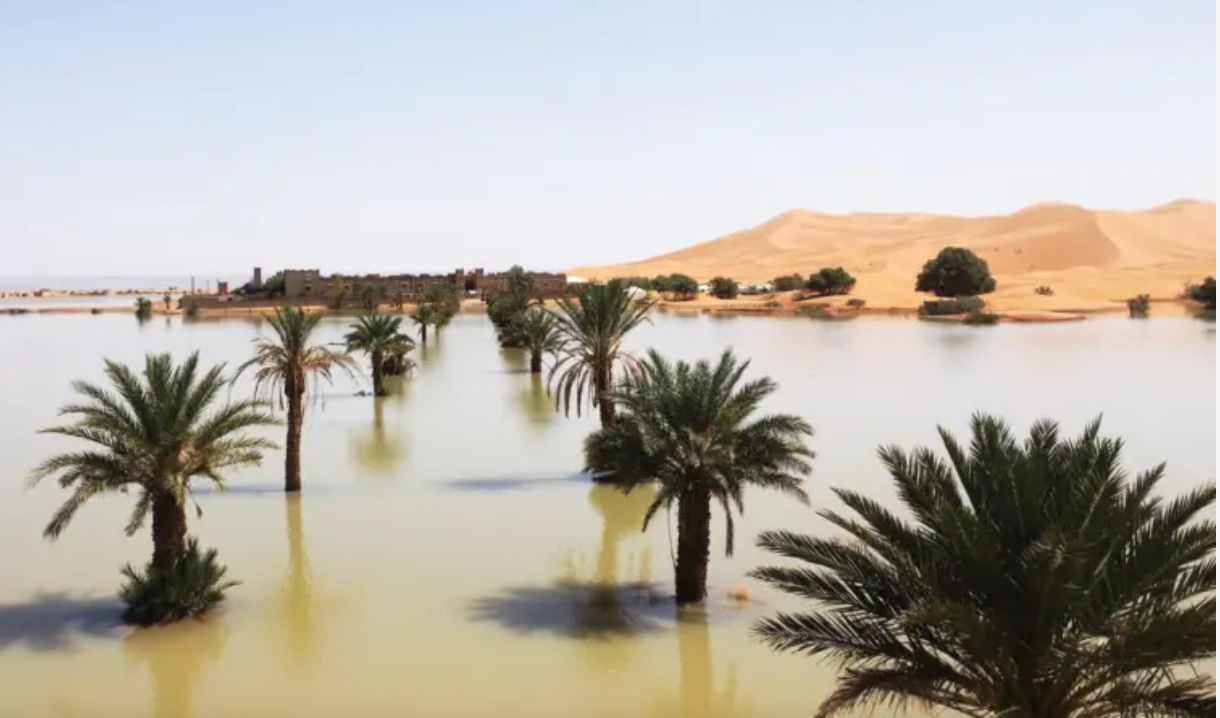 Inusuales lluvias inundan el Sahara, superando los promedios anuales en Marruecos