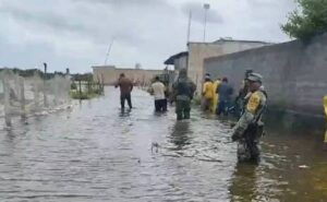 Huracán ‘Milton’ deja árboles caídos, inundaciones y cortes de luz en Yucatán