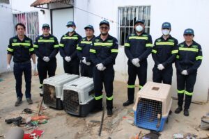 Denuncia ciudadana permite rescate de perritos en Mérida