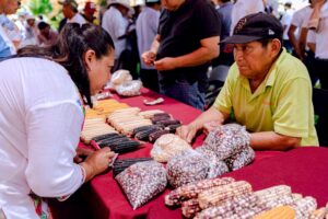 Celebran biodiversidad y saberes mayas en foro