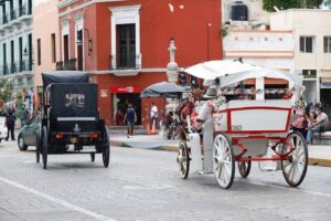 Menos horas laborales para caballos de calesa