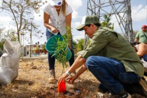 Ciudadanía se une a jornada masiva de reforestación