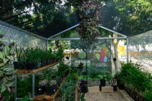 Nuevas actividades ecológicas en la Reserva Cuxtal