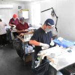 Cuidan salud con jornada animal en Hoctún