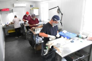 Cuidan salud con jornada animal en Hoctún