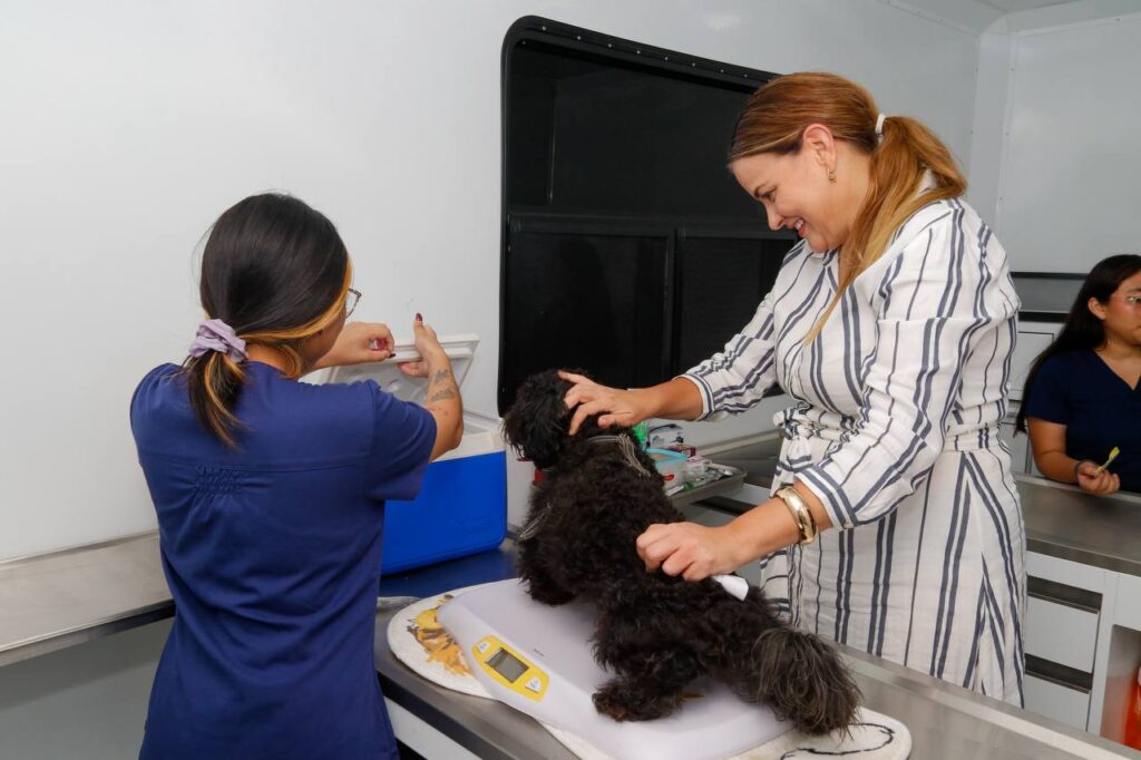 Promueven tenencia responsable con jornada de esterilización