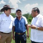 Productores de Motul reciben apoyo con riego solar