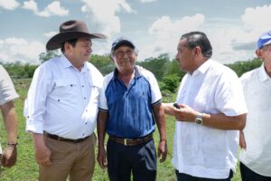Productores de Motul reciben apoyo con riego solar