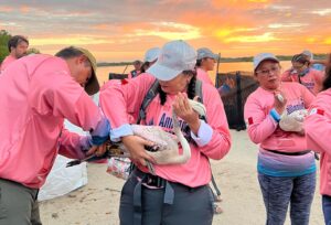 Flamencos del Caribe, símbolo vivo de Yucatán