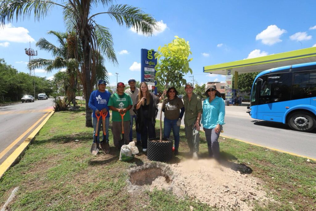 Cecilia Patrón lidera reforestación innovadora en Mérida
