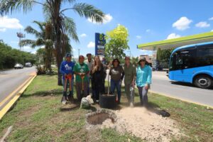 Cecilia Patrón lidera reforestación innovadora en Mérida