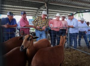 Díaz Mena respalda a productores con nueva maquinaria