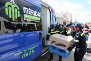 Ayuntamiento refuerza atención y denuncia por crueldad animal