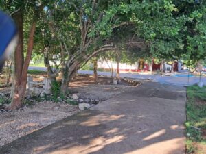 Retiran puestos sin permiso en fraccionamiento Las Américas