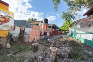 Xmatkuil 2025 se alista con protocolos de seguridad reforzados