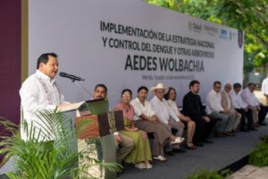 Inicia liberación de mosquitos “buenos” en Yucatán