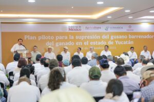 Yucatán inicia estrategia integral contra el gusano barrenador
